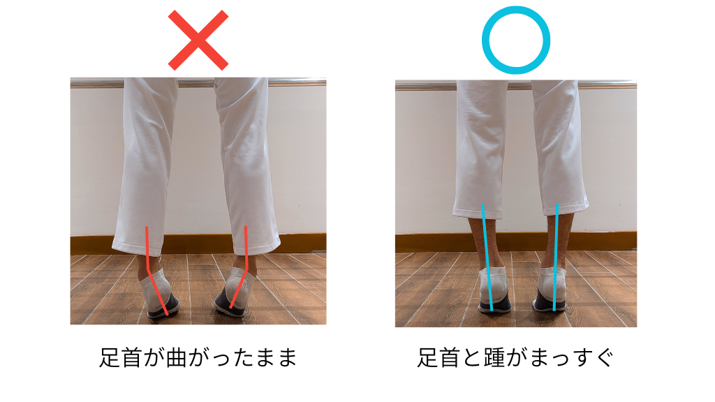 かかと上げ（Heel Raise）の正しいフォーム